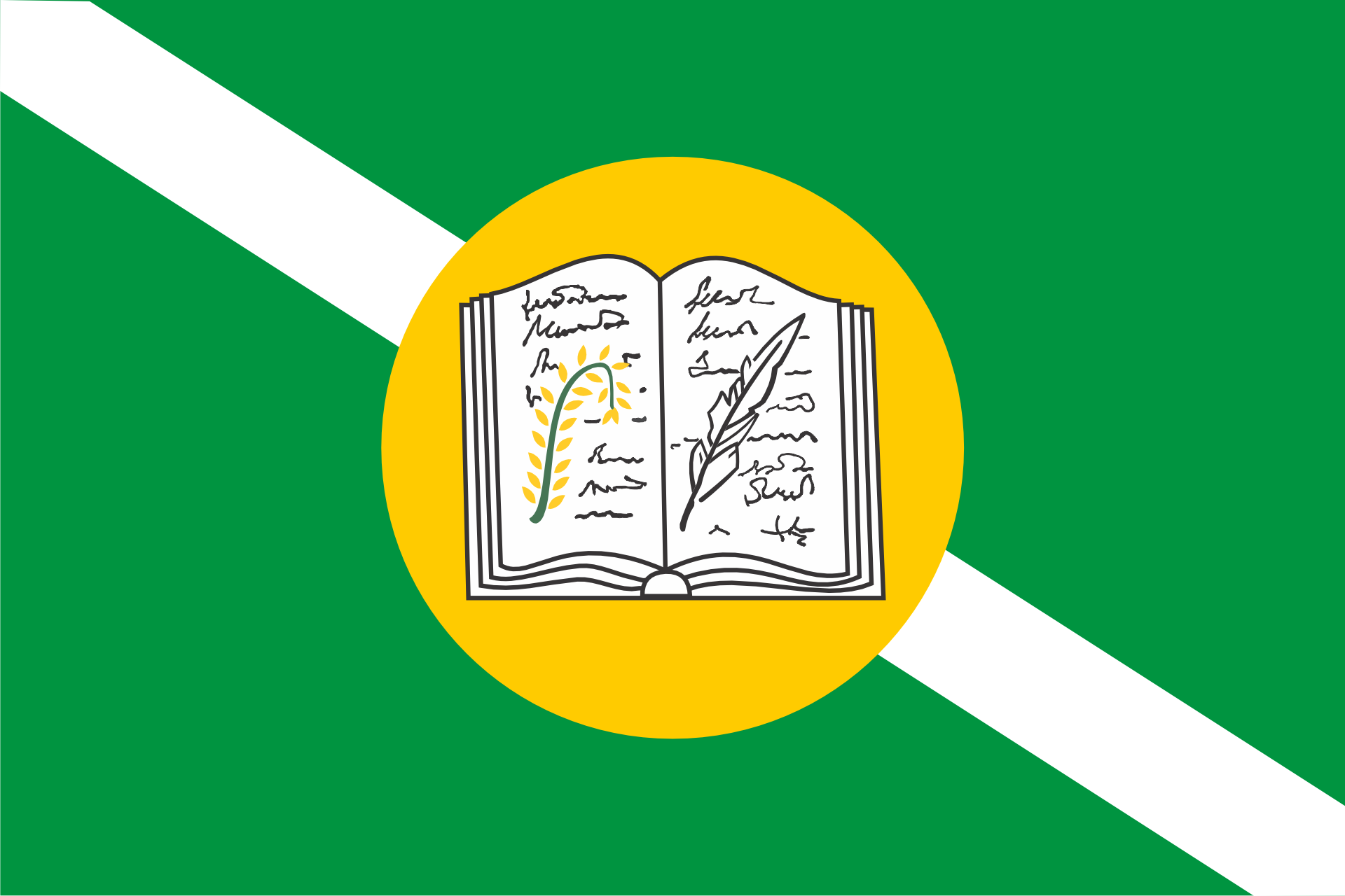 Bandeira do Município de Arari